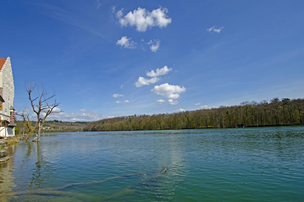 Schloss Beuggen ラインフェルデン エクステリア 写真